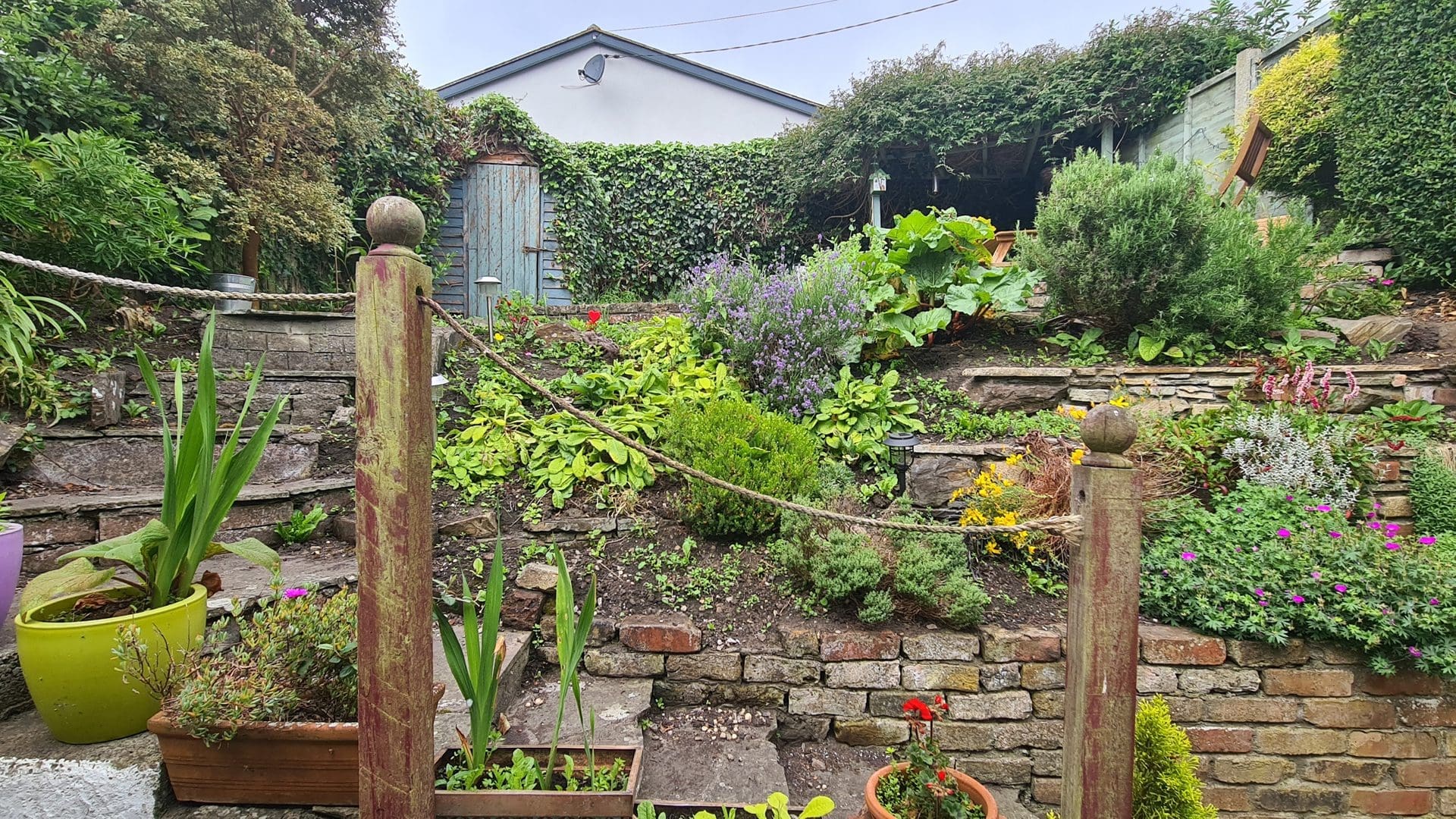 garden 20 Seaview Terrace, Howth, Co. Dublin