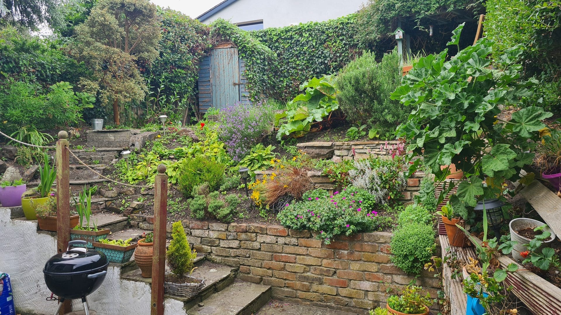garden2 20 Seaview Terrace, Howth, Co. Dublin