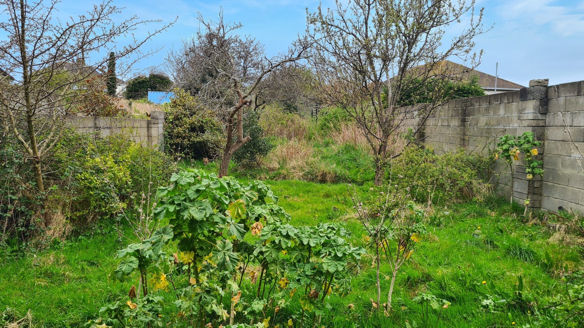 78 Grange Road, Baldoyle, Dublin 13
