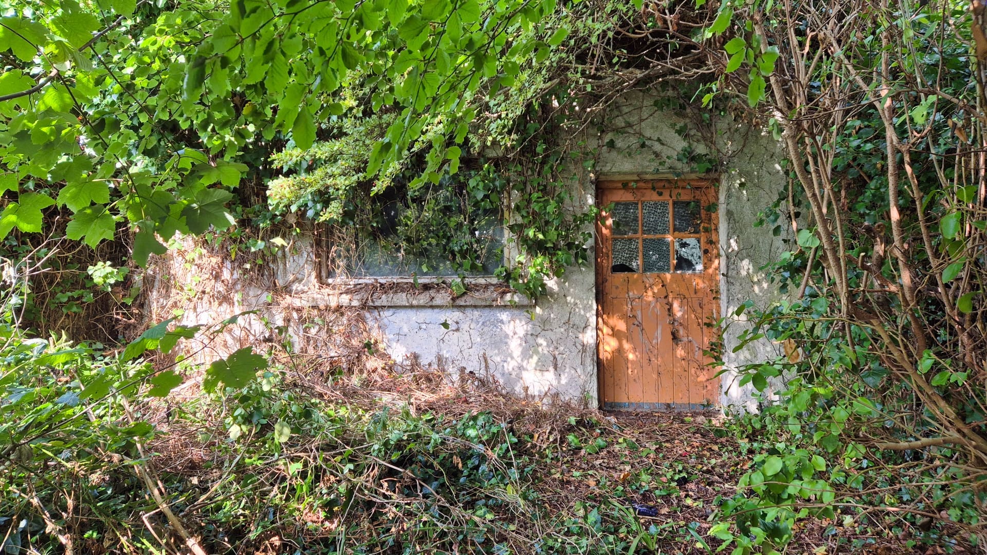 shed 15 La Vista Avenue, Sutton, Dublin 13