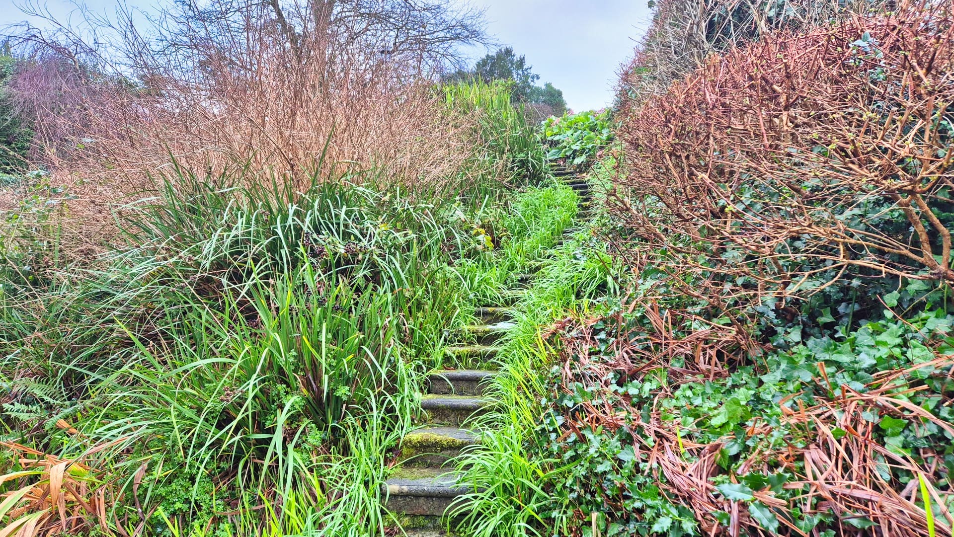 6 Woodside, Howth, Co. Dublin