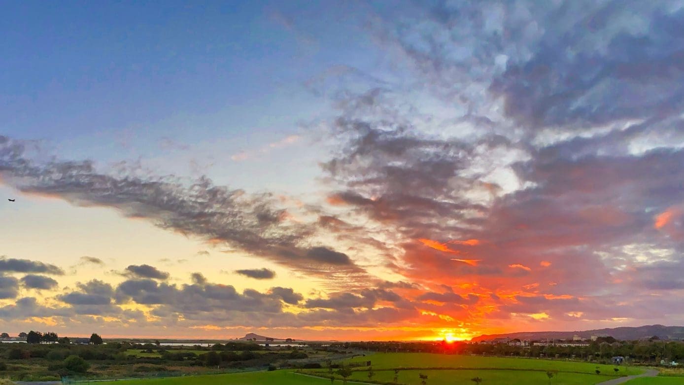 view1 101 Ash House, Silverbanks, Baldoyle, D13
