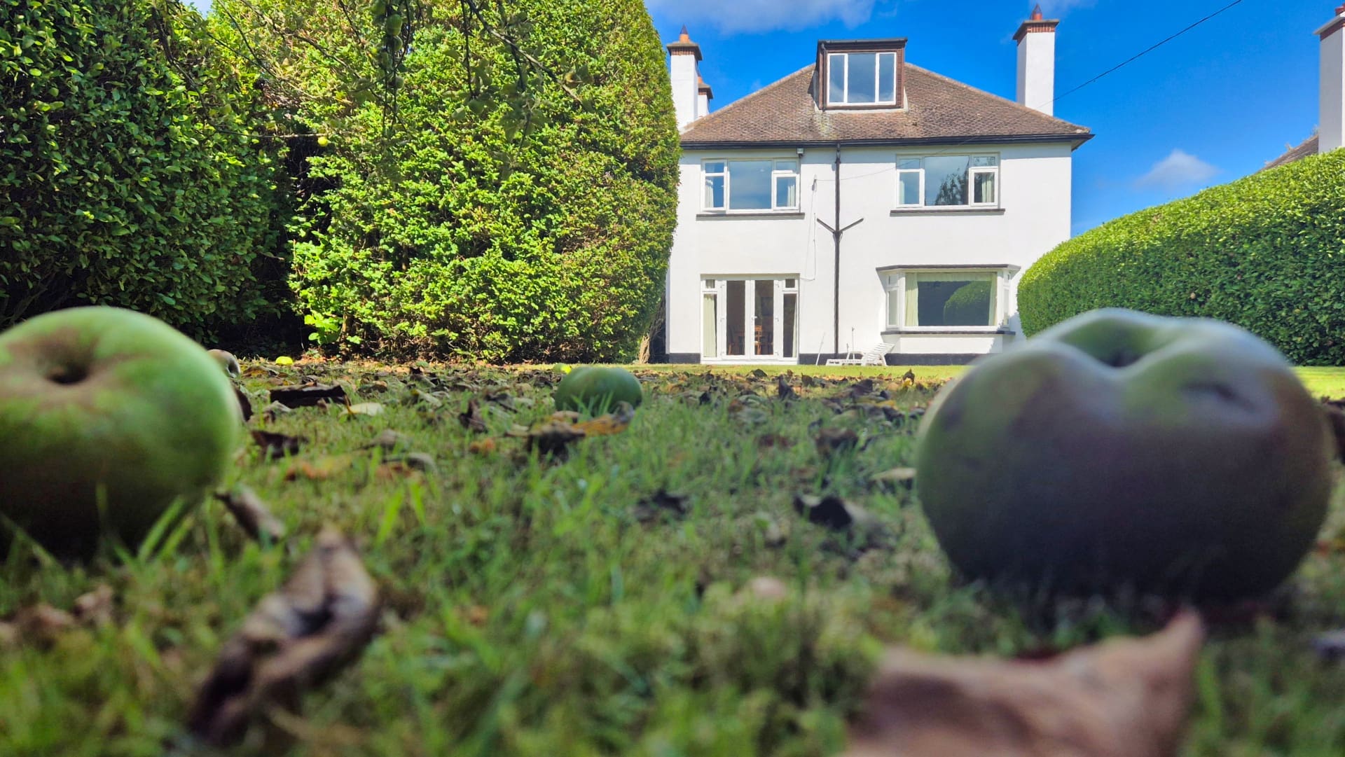 apples Saint Joseph’s, 112a Howth Rd, Howth, Co. Dublin